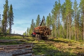 Back of new Forwarder